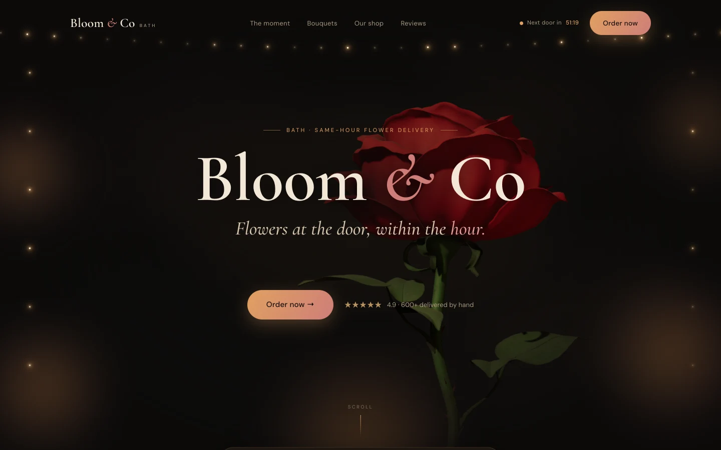 Bloom & Co